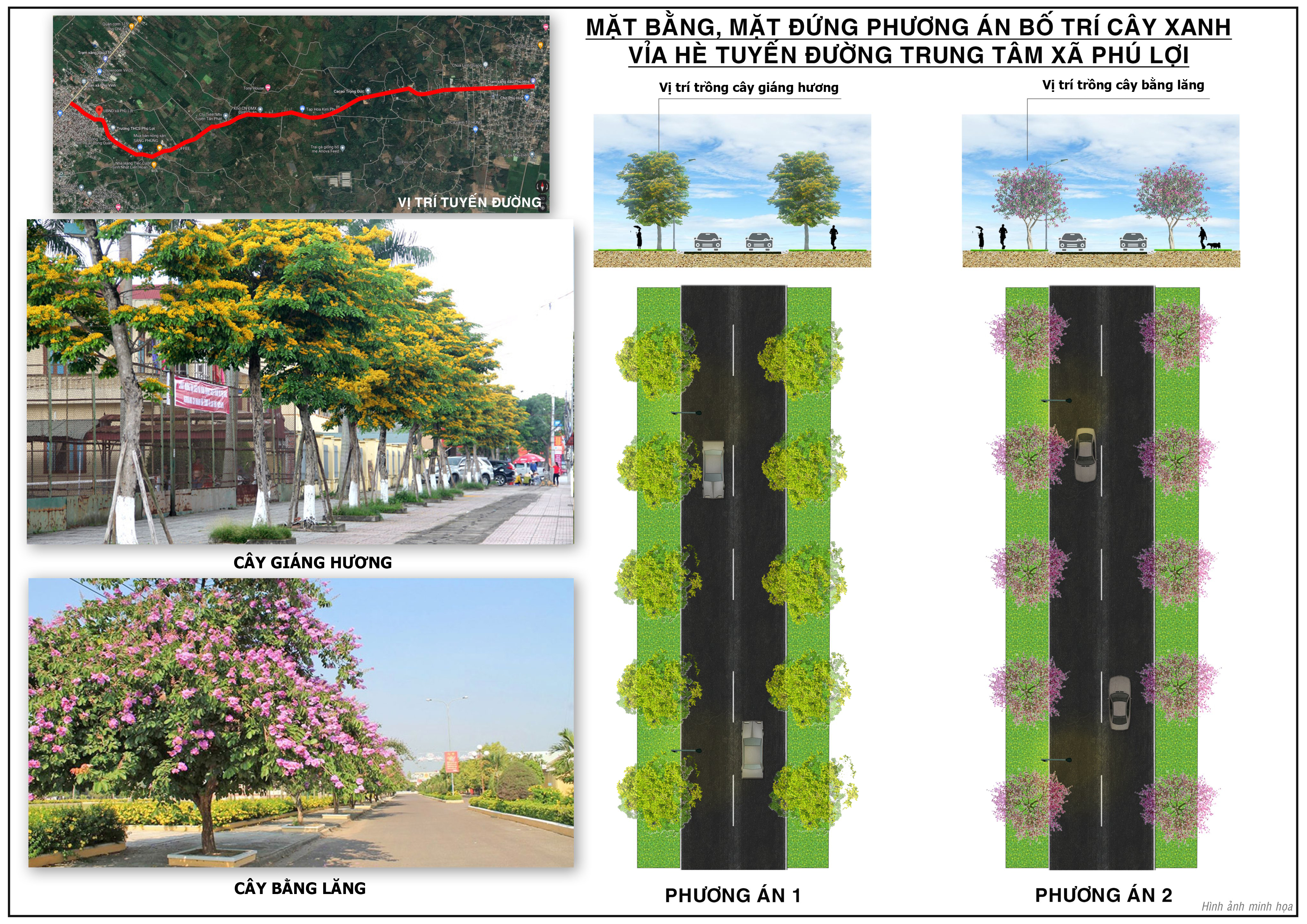 CÂY XANH TUYẾN ĐƯỜNG